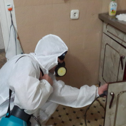 Дезинфекция от муравьев в квартире в Снегирях