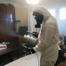 Дезинфекция от клопов в Снегирях