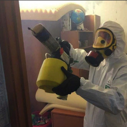 Уничтожение клопов в квартире. Снегири